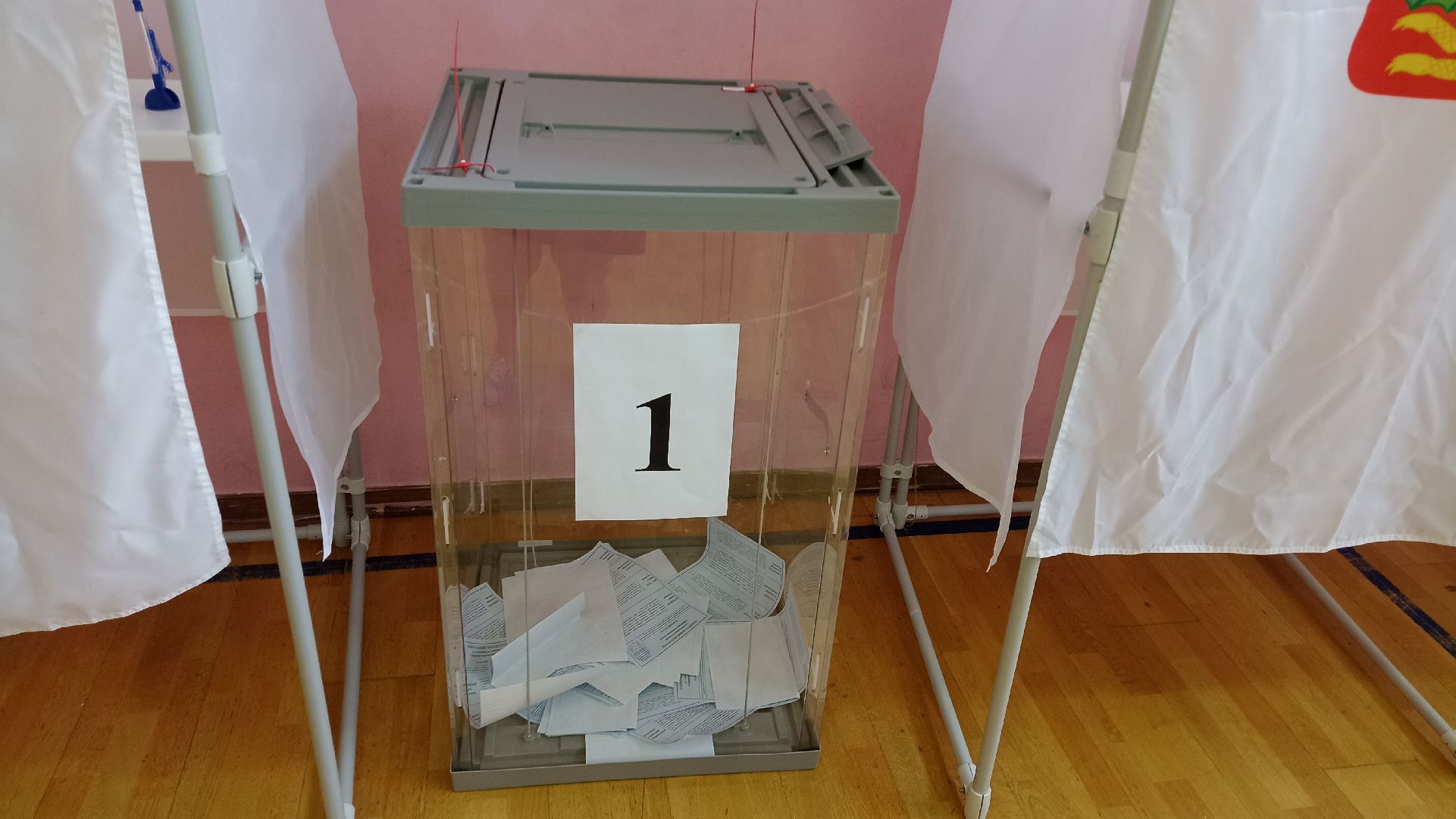 Реутов, выборы, избирательная кампания, губернатор