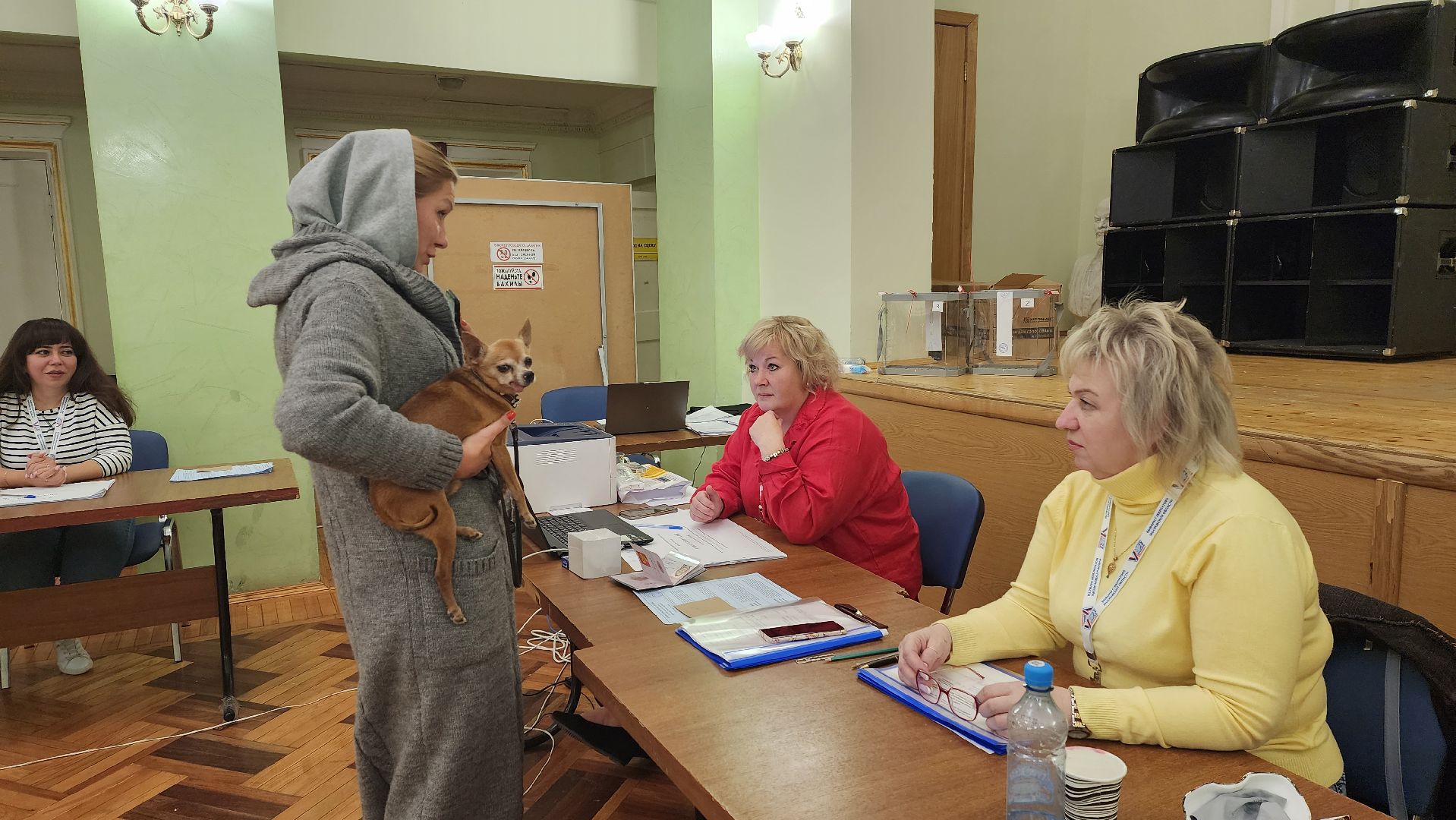 ПодмосковьеВыбирает2023, ЕДГ2023, Котельники, выборы, Подмосковье