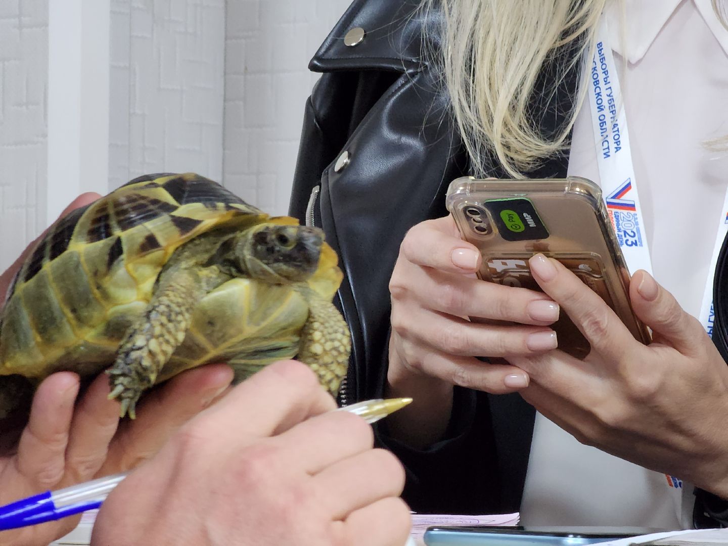 егореьвск, выборы, выборы 2023, выборы-2023, выборы губернатора, голосование, едг2023, подмосковьевыбирает2023,