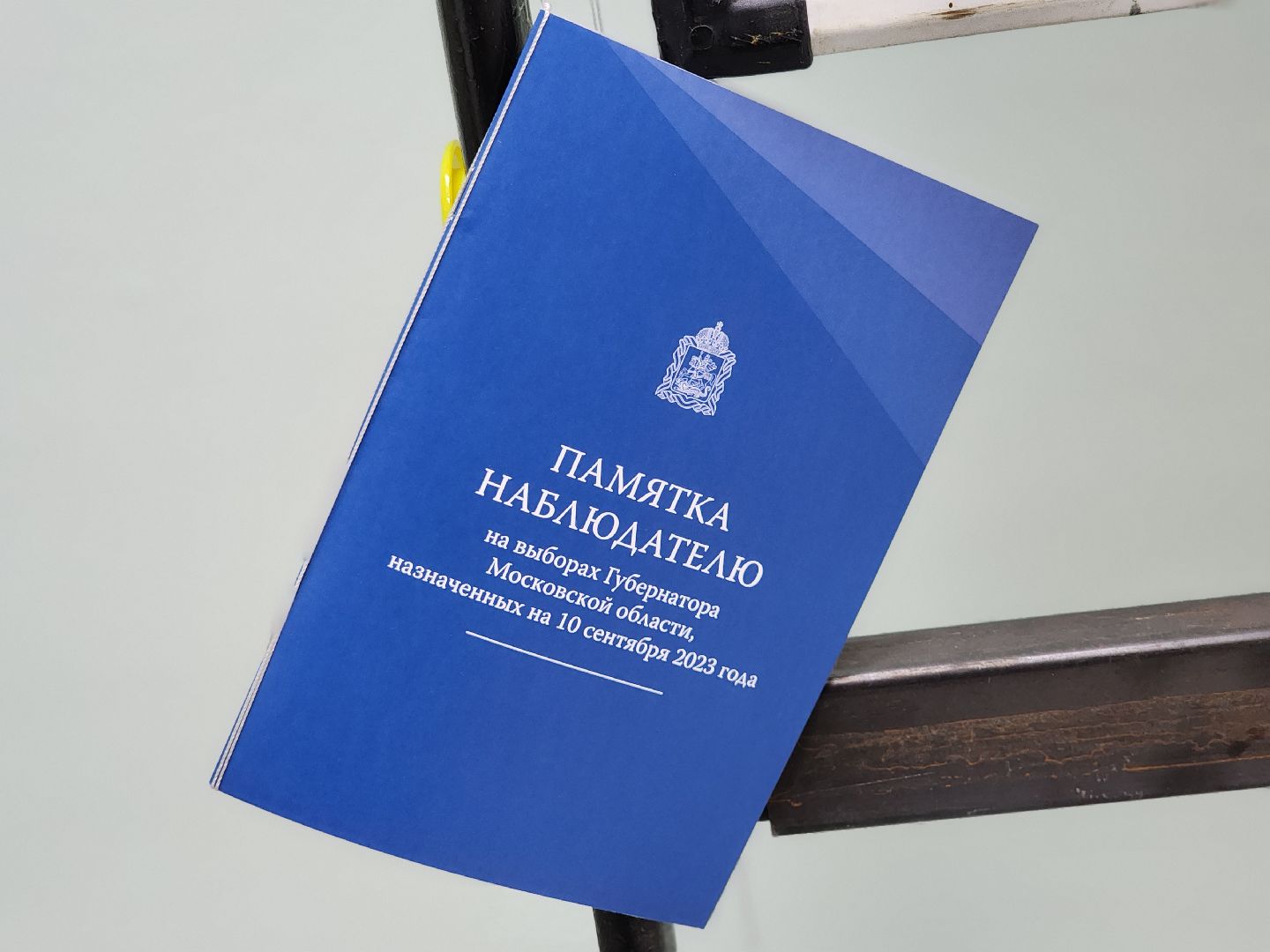 Подольск, выборы