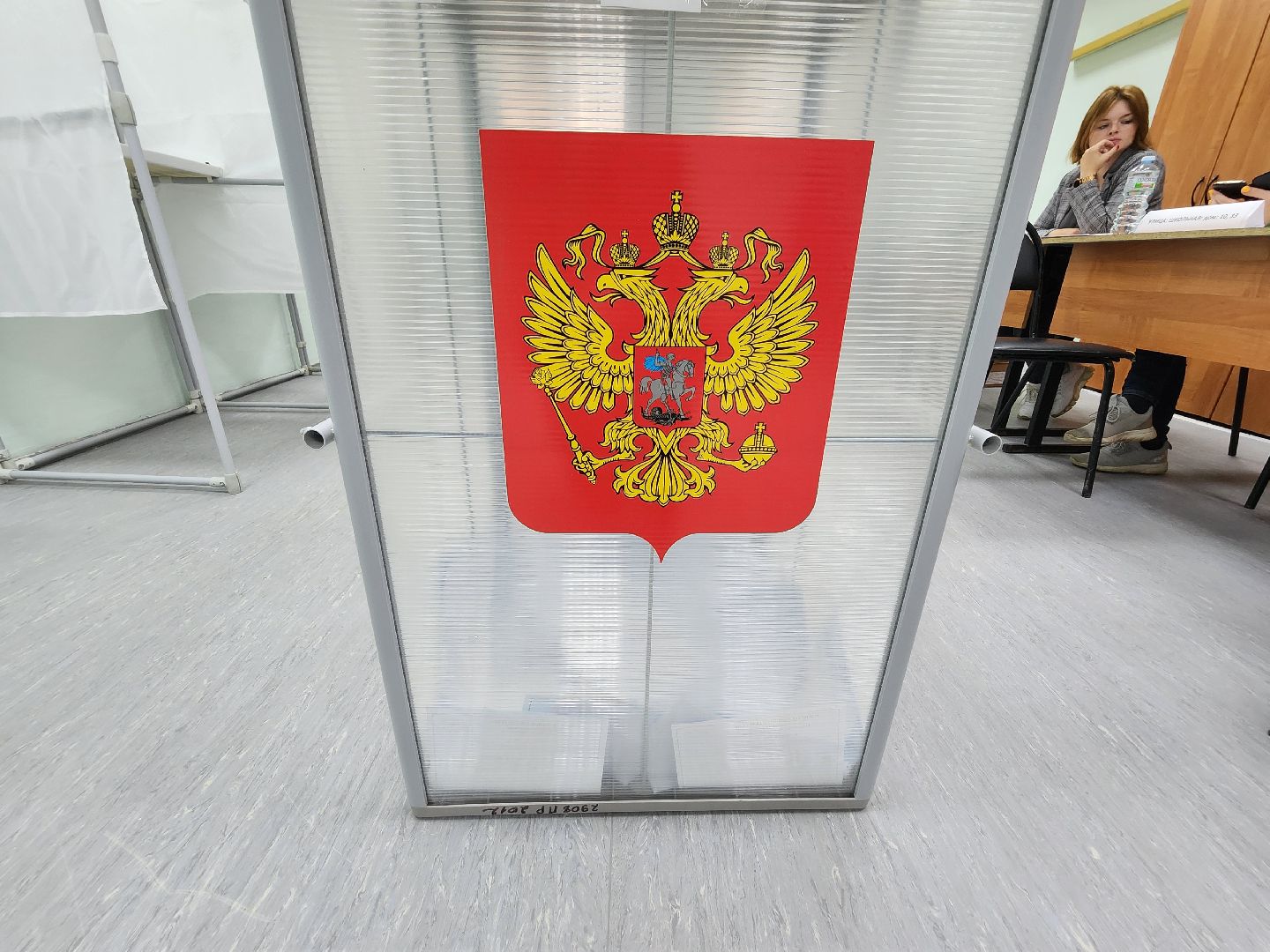 Подольск, выборы