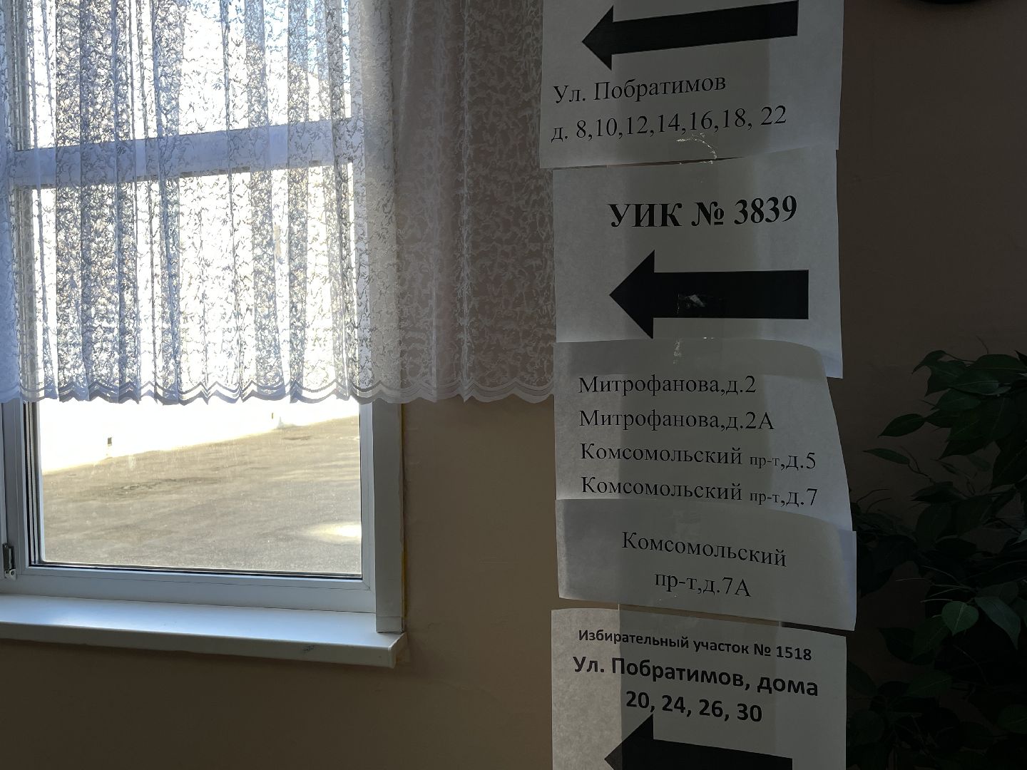 Выборы, губернатор, Подмосковье, голос