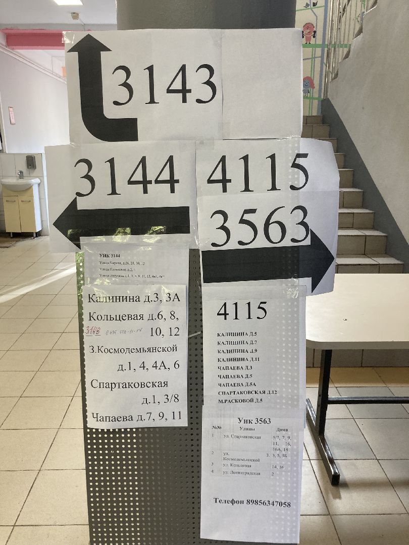 Химки, выборы, Подмосковье, голосование, общество