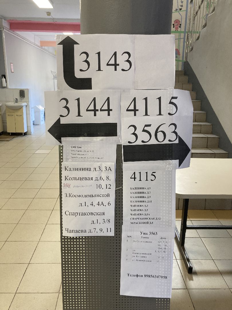 Химки, выборы, Подмосковье, голосование, общество