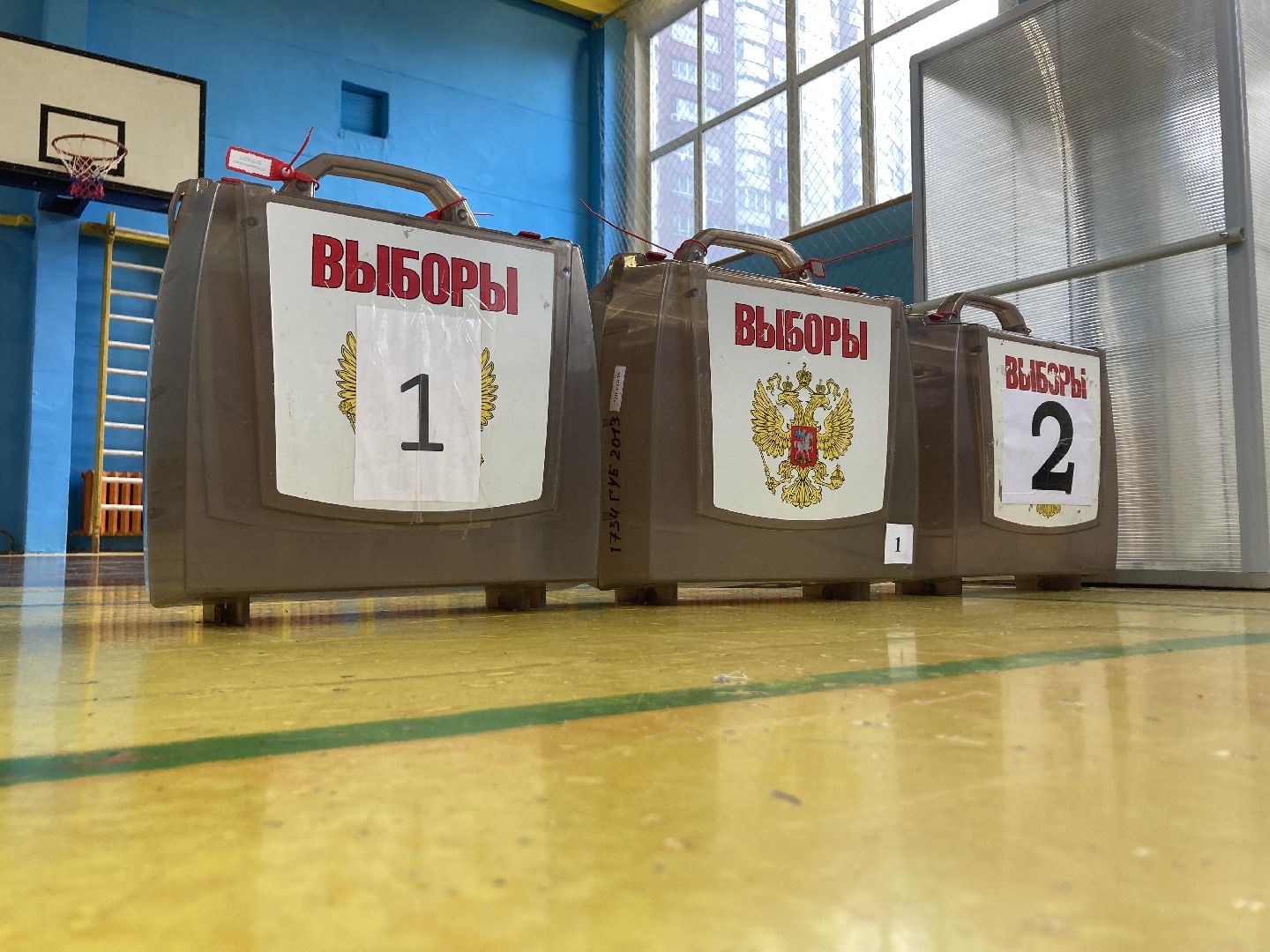 Химки, выборы, Подмосковье, голосование, общество