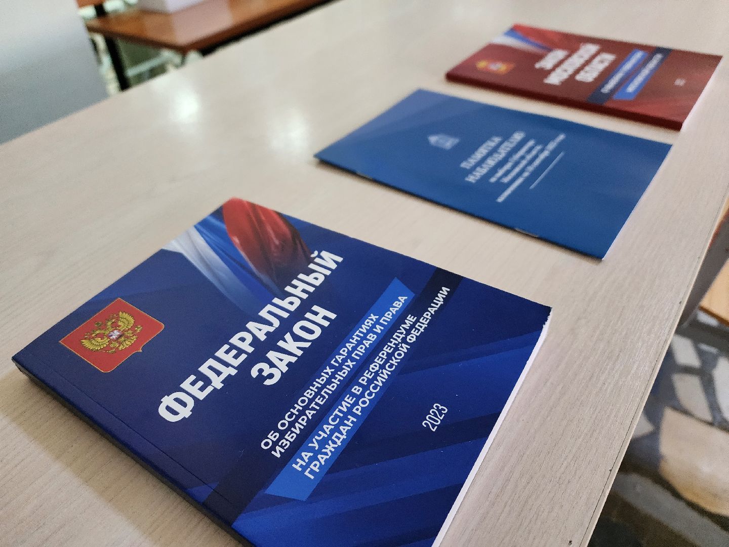 выборы 2023, выборы губернатора московской области, воскресенск,