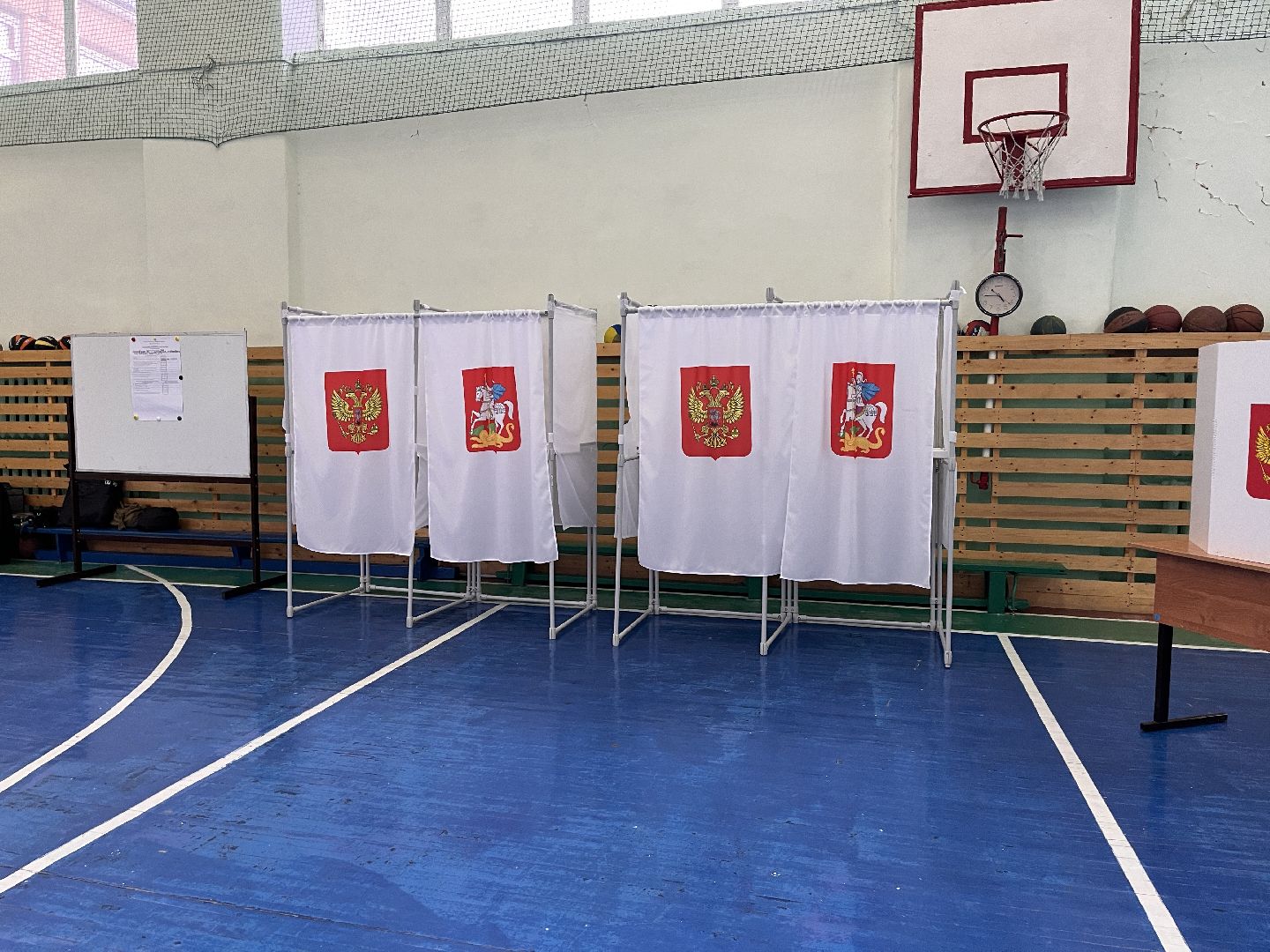 Шаховская, выборы, выборы губернатора, выборы 2023, выборы губернатора московской области,