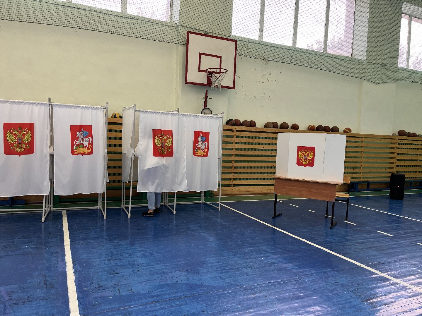 Шаховская, выборы, выборы губернатора, выборы 2023, выборы губернатора московской области,