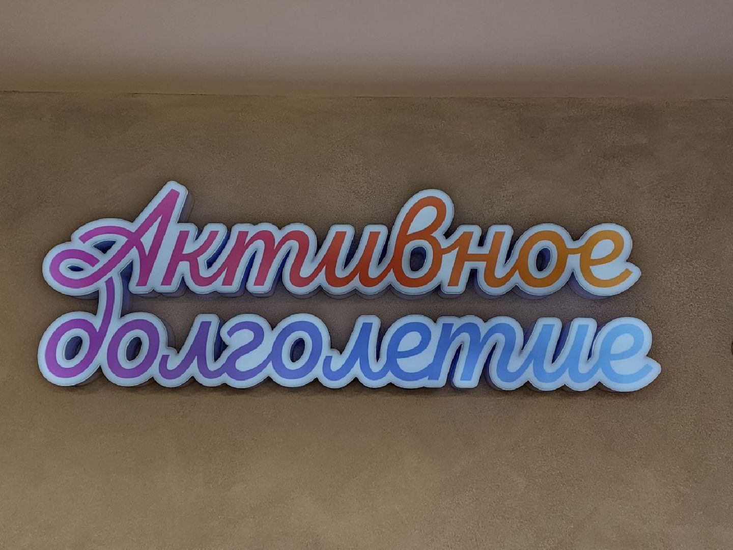 Химки, Активное долголетие, выборы, ДЭГ, Подмосковье