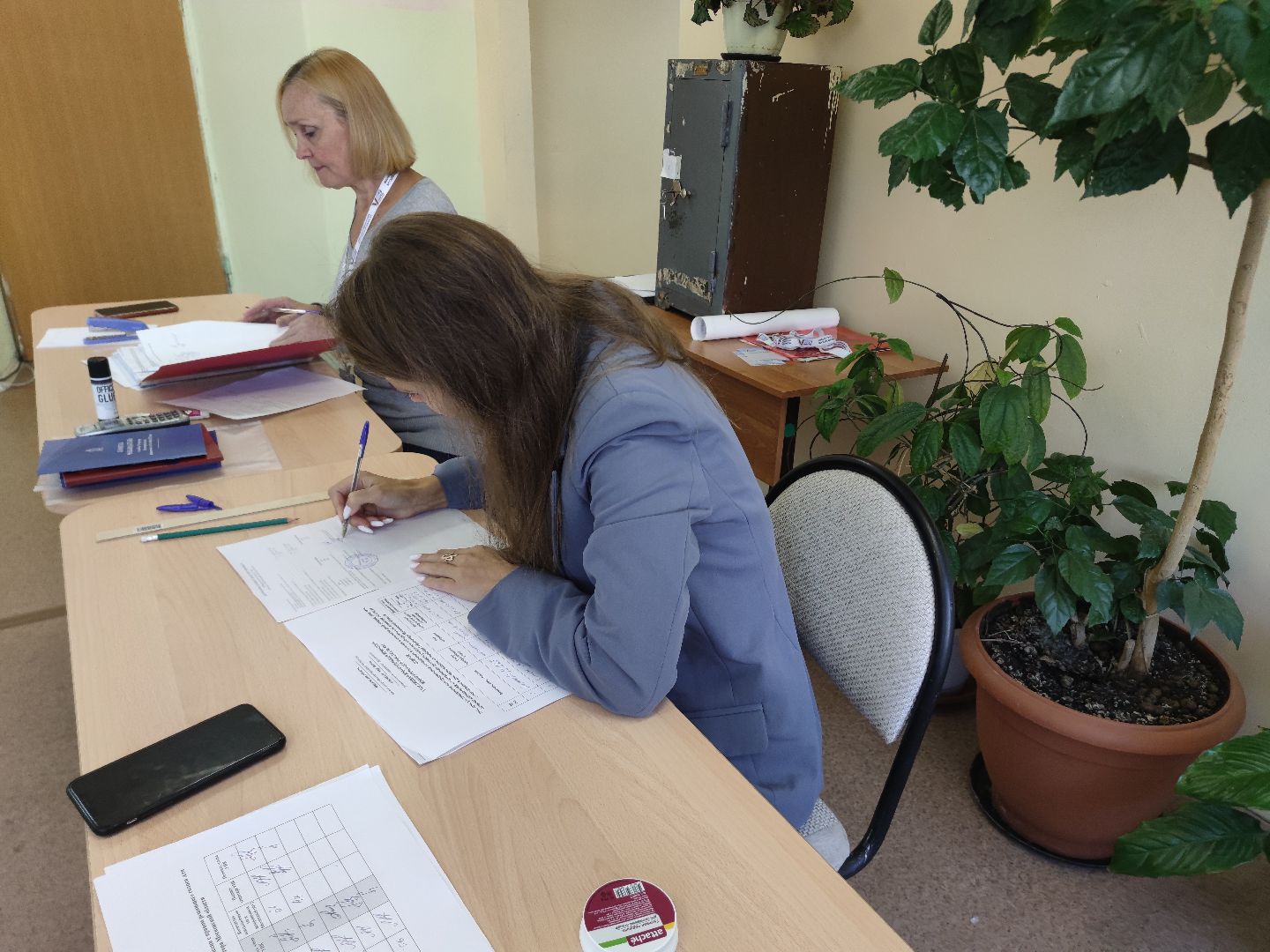 Дистанционное электронное голосование, ДЭГ, выборы 2023, Дубна