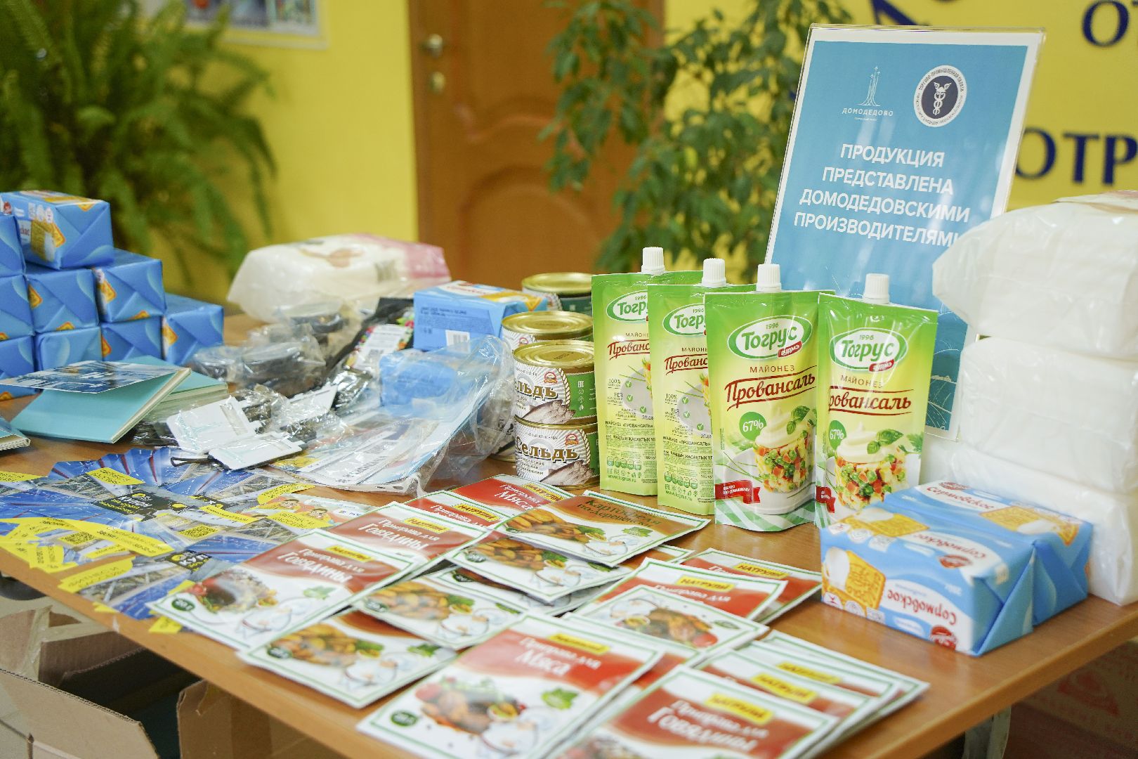 Выборы 2023, Домодедово