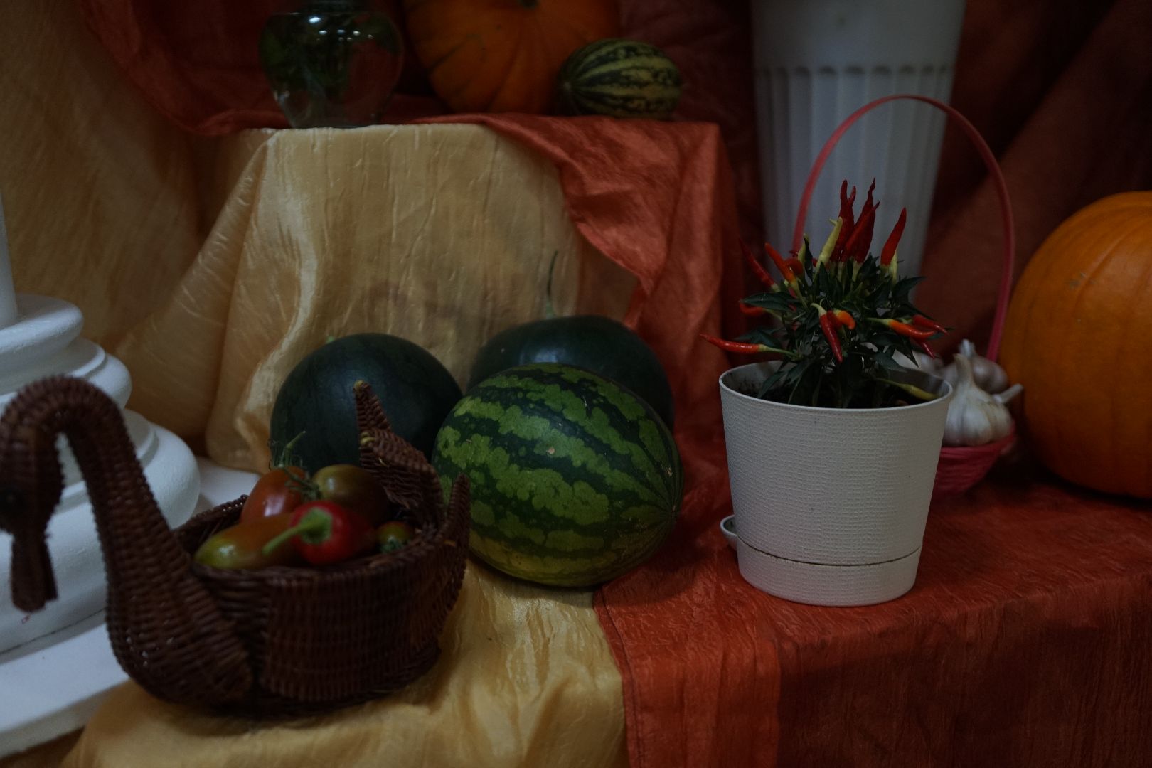 Акатьево, Коломна, выборы, дары осени,