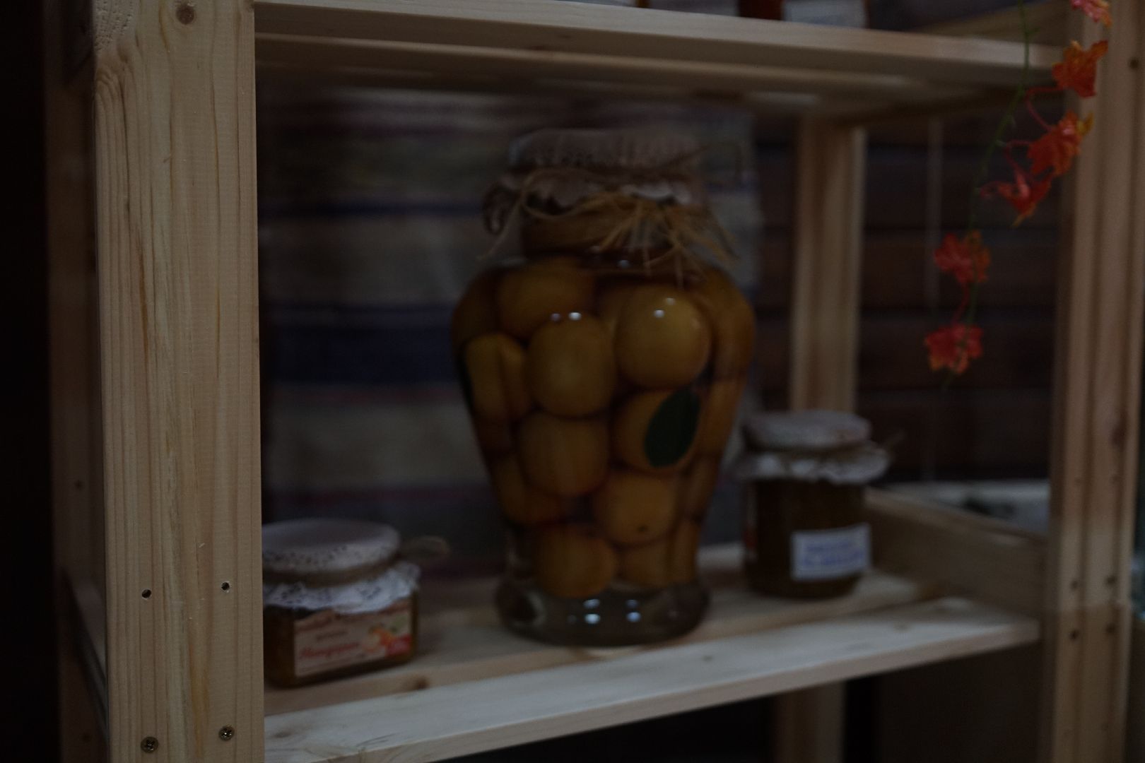 Акатьево, Коломна, выборы, дары осени,