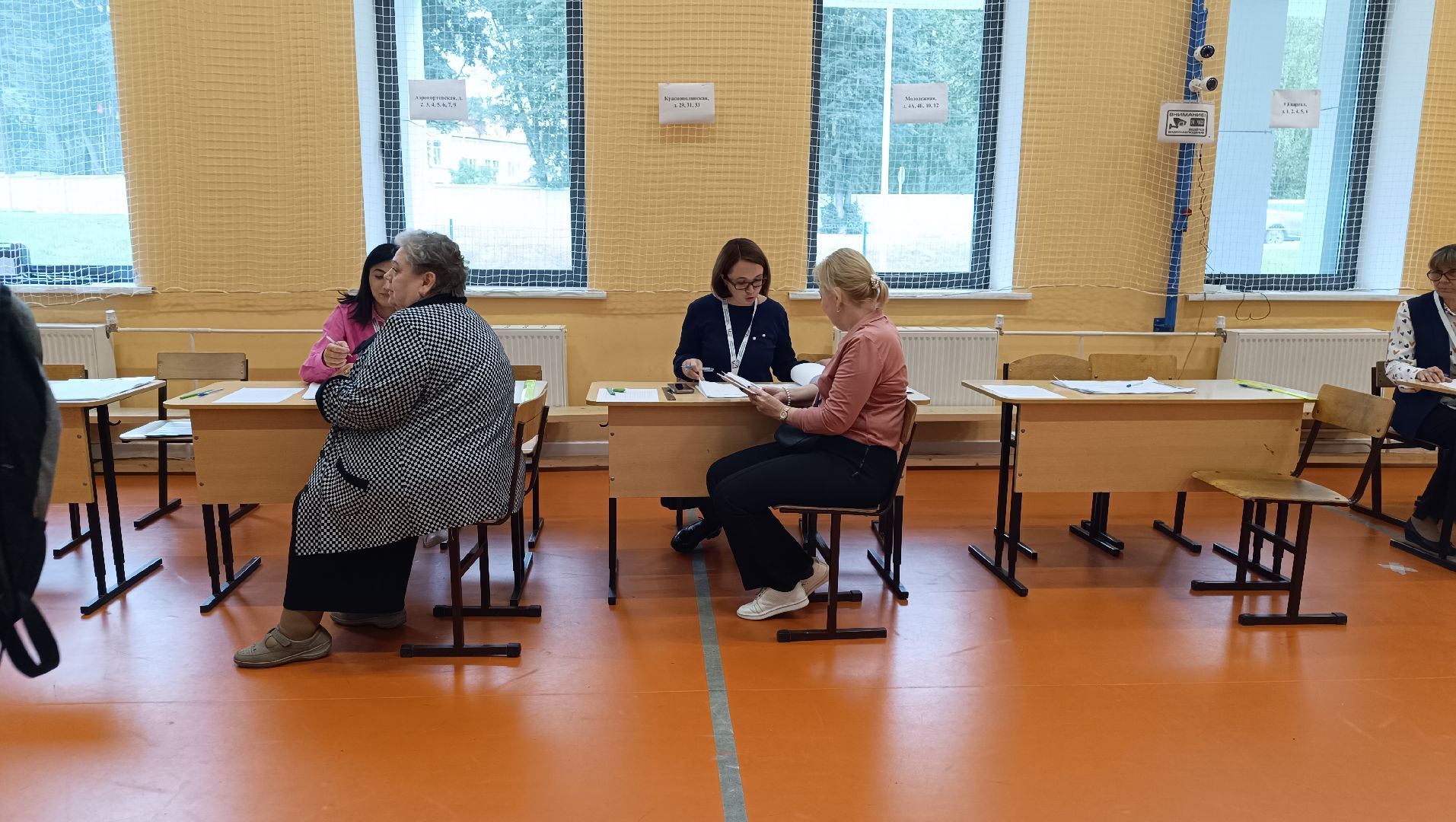 Лобня, общество, выборы