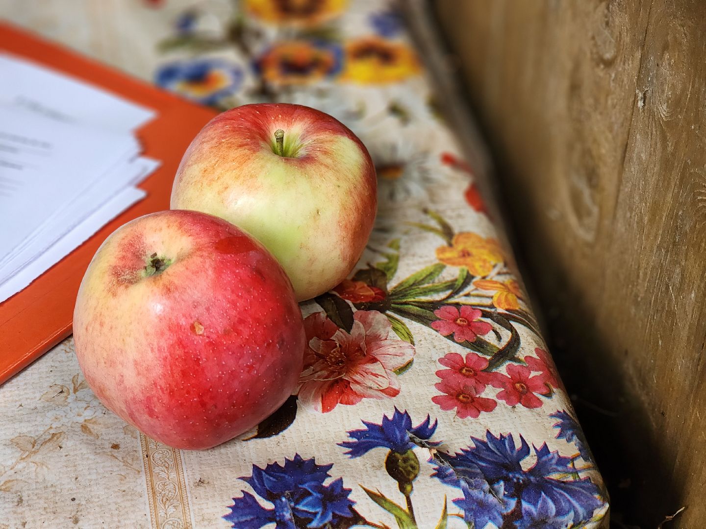 Ступино, ПодмосковьеВыбирает2023, ЕДГ2023