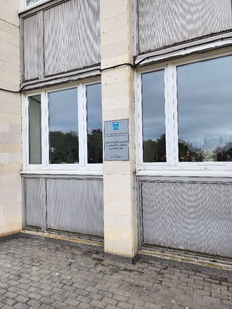 выборы, губернатора, 2023, голосование, Баранов