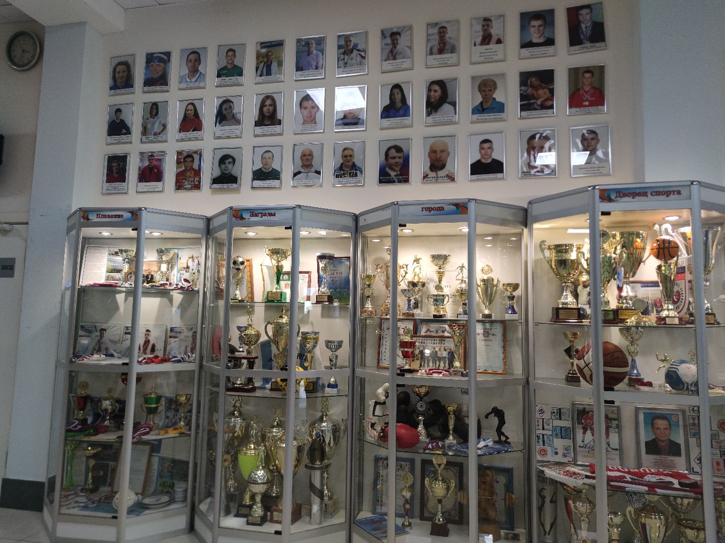 Спортсмены, дистанционное электронное голосование, выборы 2023, Дубна