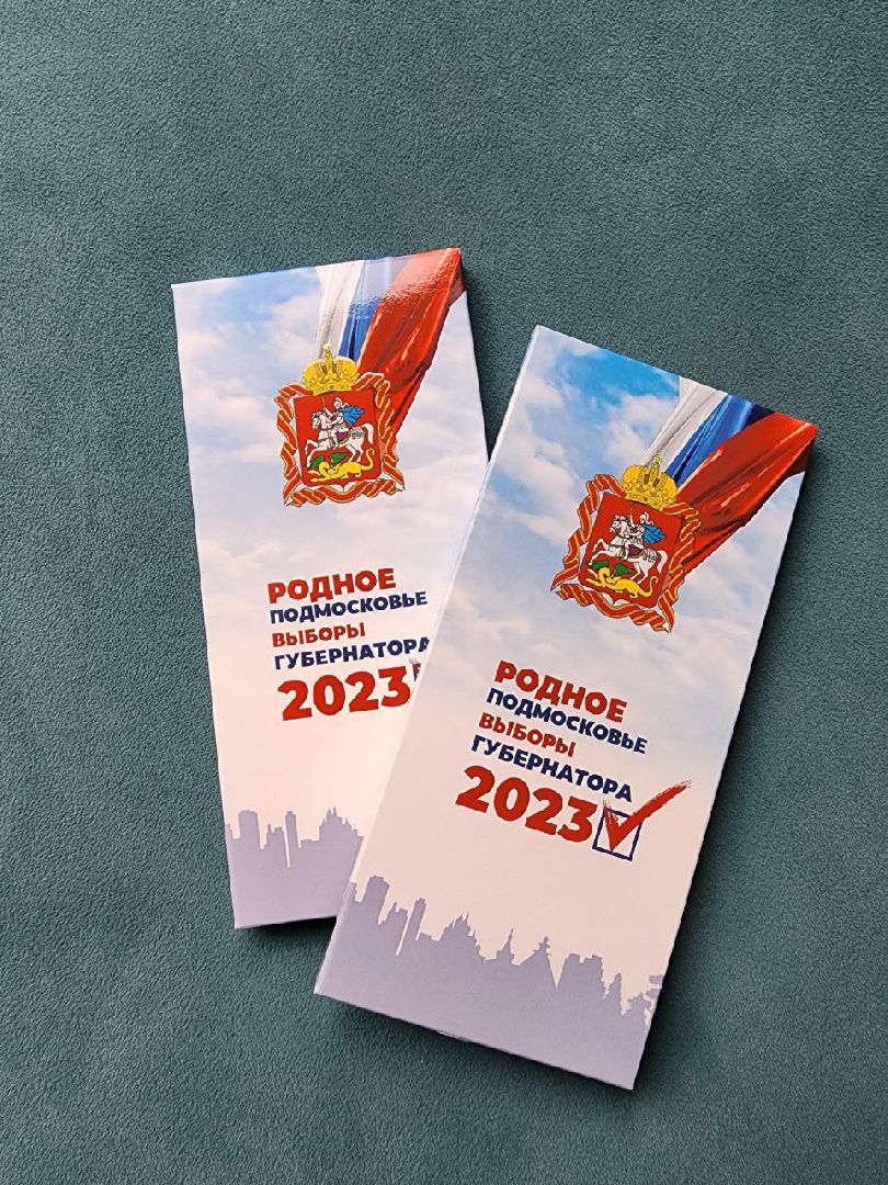 Химки, Подмосковье, выборы, сувениры, шоколад