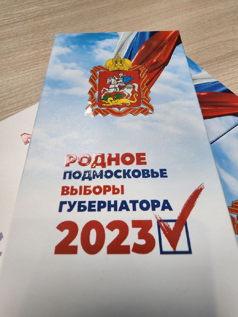 Химки, Подмосковье, выборы, сувениры, шоколад