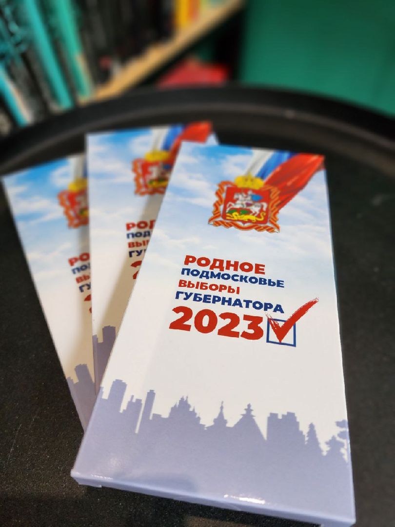 Химки, Подмосковье, выборы, сувениры, шоколад