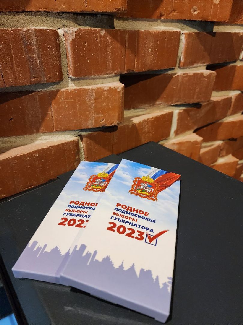 Химки, Подмосковье, выборы, сувениры, шоколад