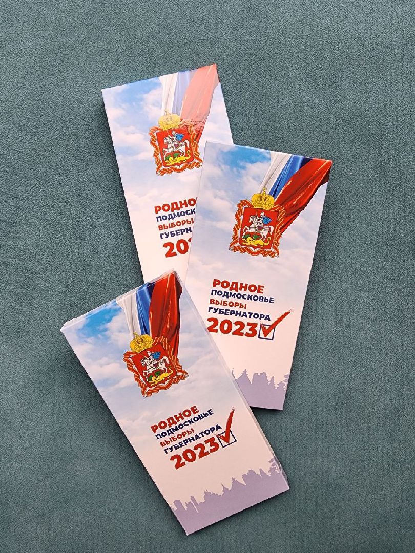 Химки, Подмосковье, выборы, сувениры, шоколад