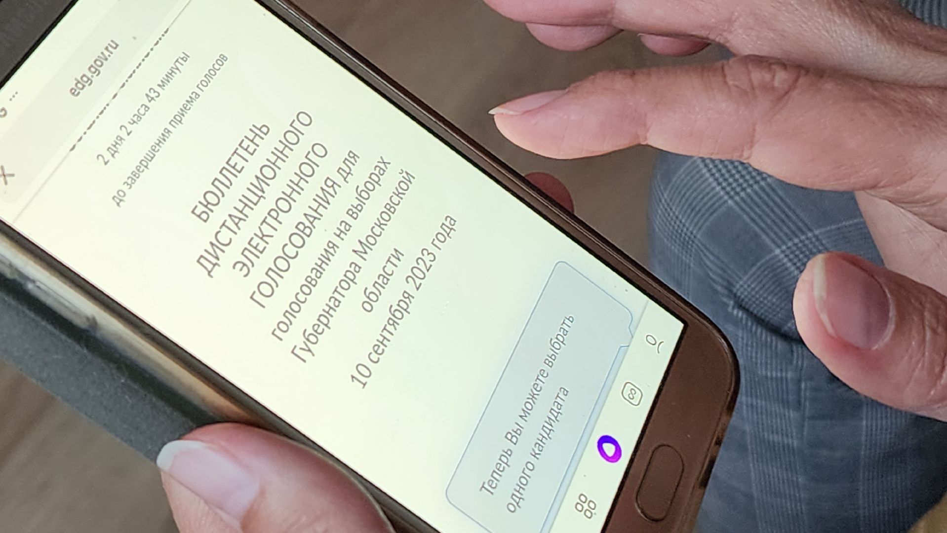 ПодмосковьеВыбирает2023, ЕДГ2023, Котельники, Подмосковье