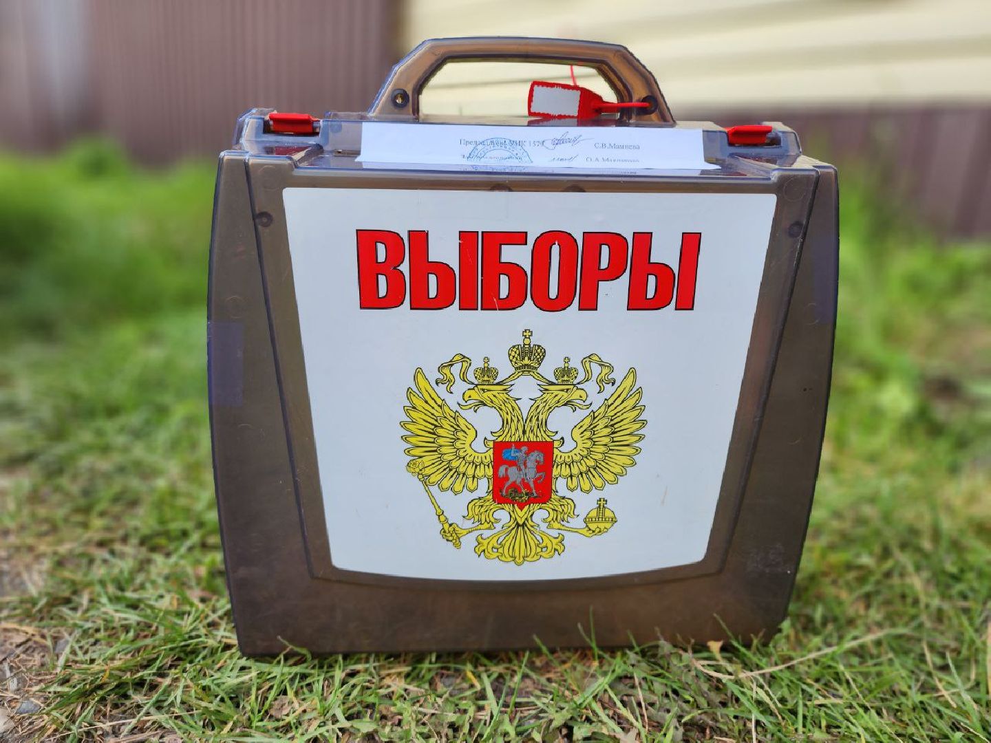 ПодмосковьеВыбирает2023, ЕДГ2023, Можайск, Можайский городской округ, Подмосковье, выборы, губернатор, Совет депутатов, жители, избиратели