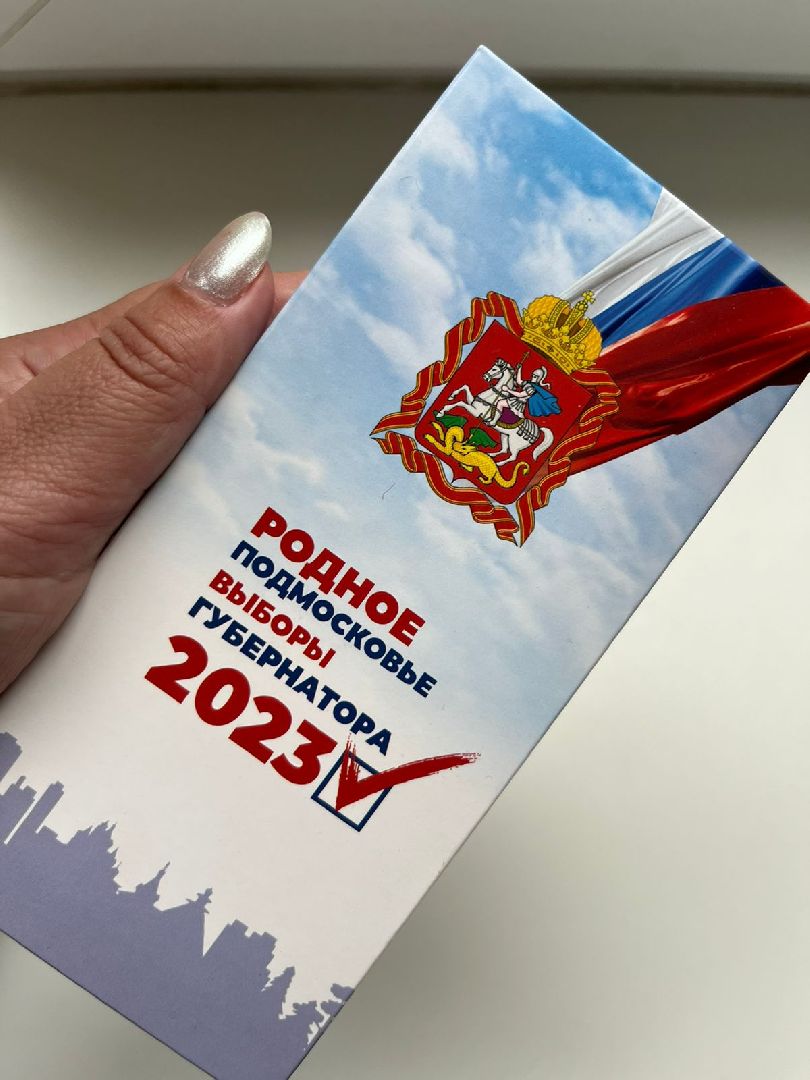 Одинцово, звенигород, едг 2023, шоколад, губернатор, ДЭГ, дистанционное электронное голосование