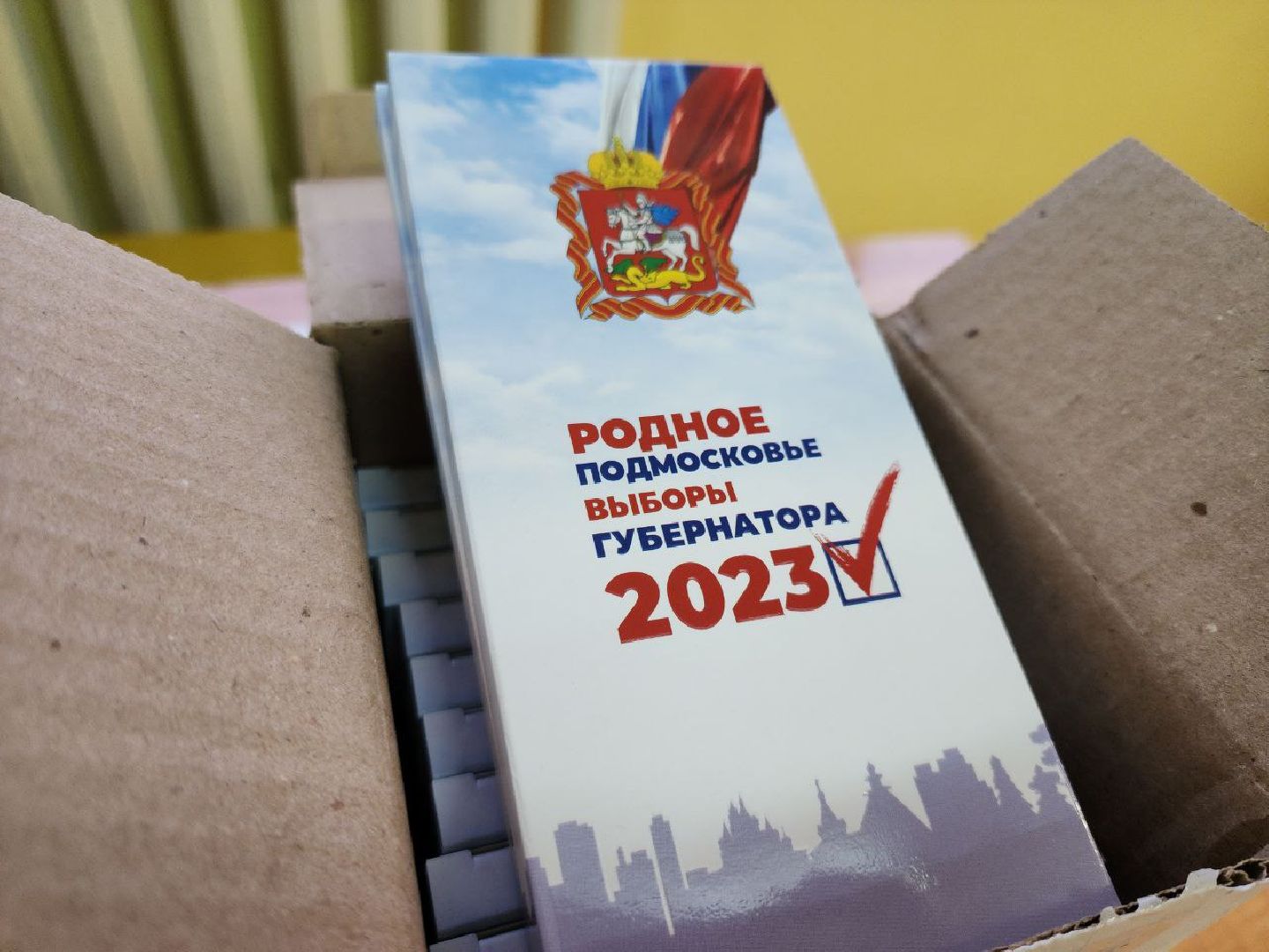 ПодмосковьеВыбирает2023, ЕДГ2023, Можайск, Можайский городской округ, Подмосковье, выборы, губернатор, Совет депутатов, жители, избиратели