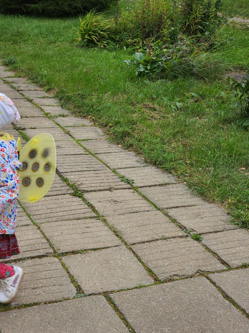 Долгопрудный, выборы, многодетные