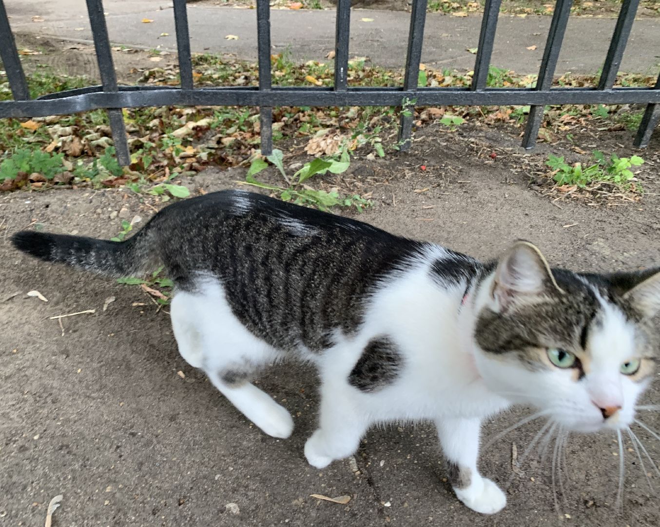 Балашиха, Подмосковье, выборы 2023, выборы губернатора московской области,