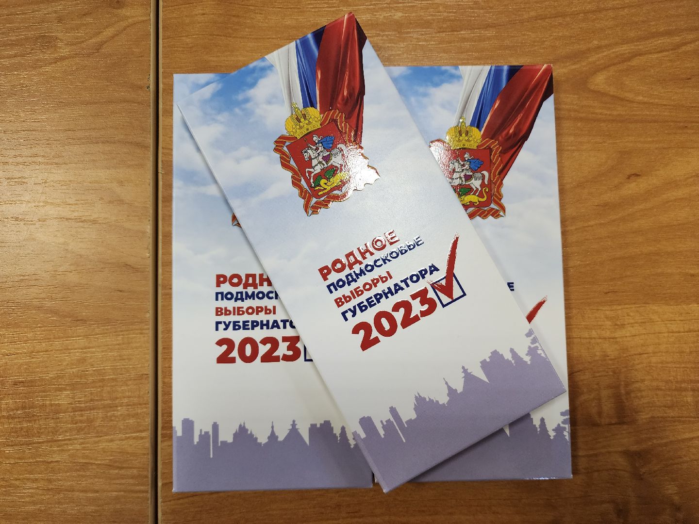 пушкино, выборы, голосование, подарки,