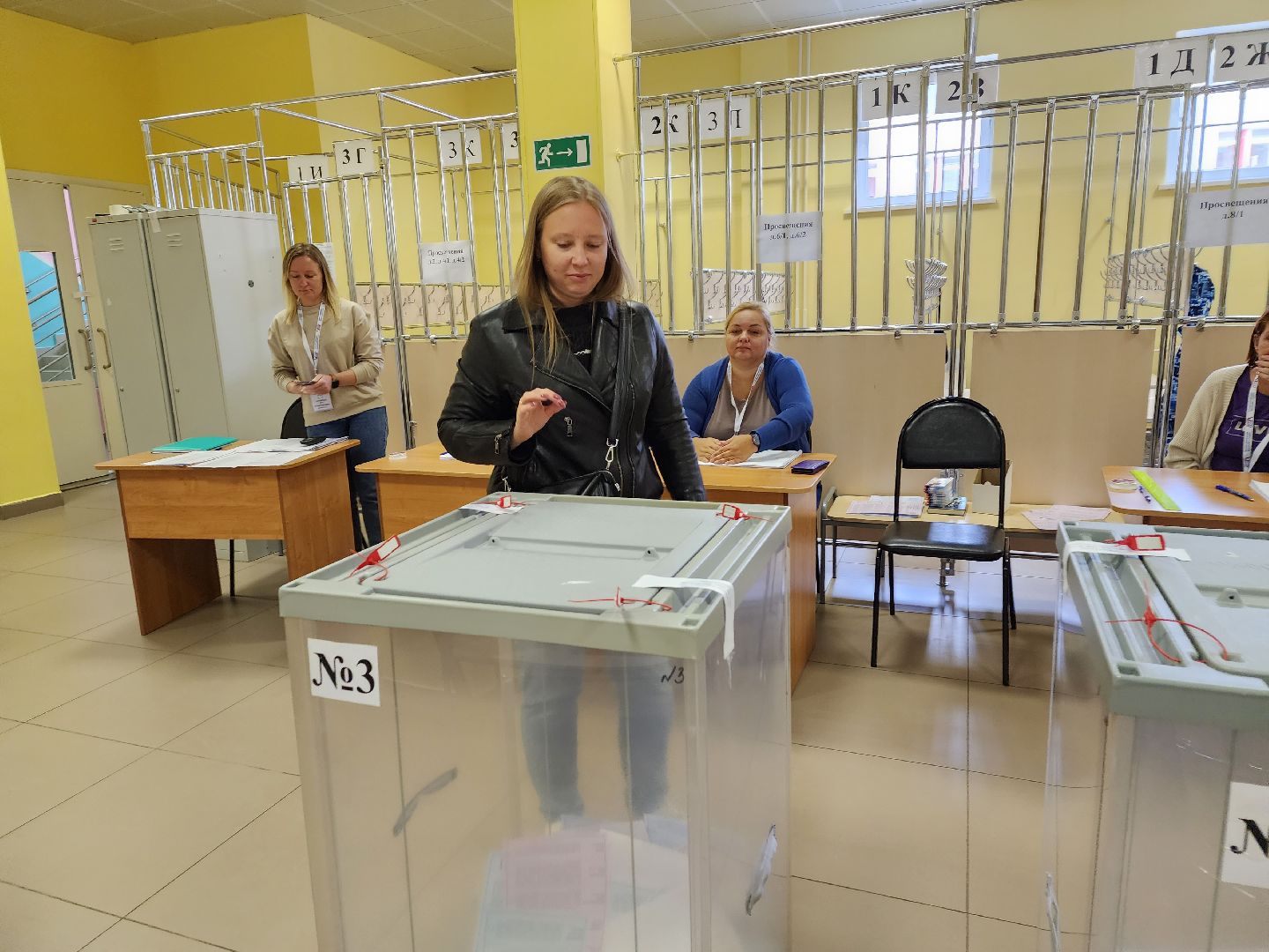 пушкино, выборы, голосование, подарки,