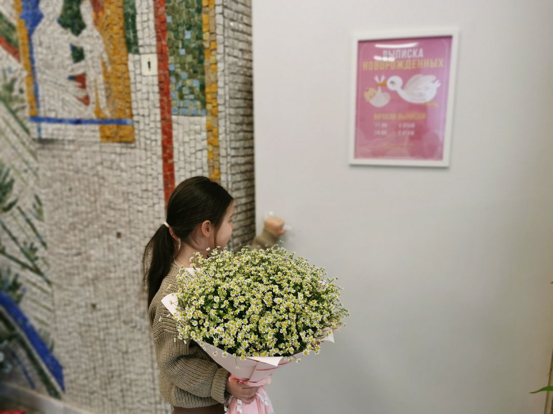 Подольск, роды, медицина