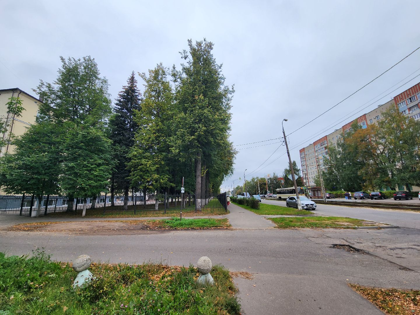 Коломна, выборы, губернатор, избирательный участок,