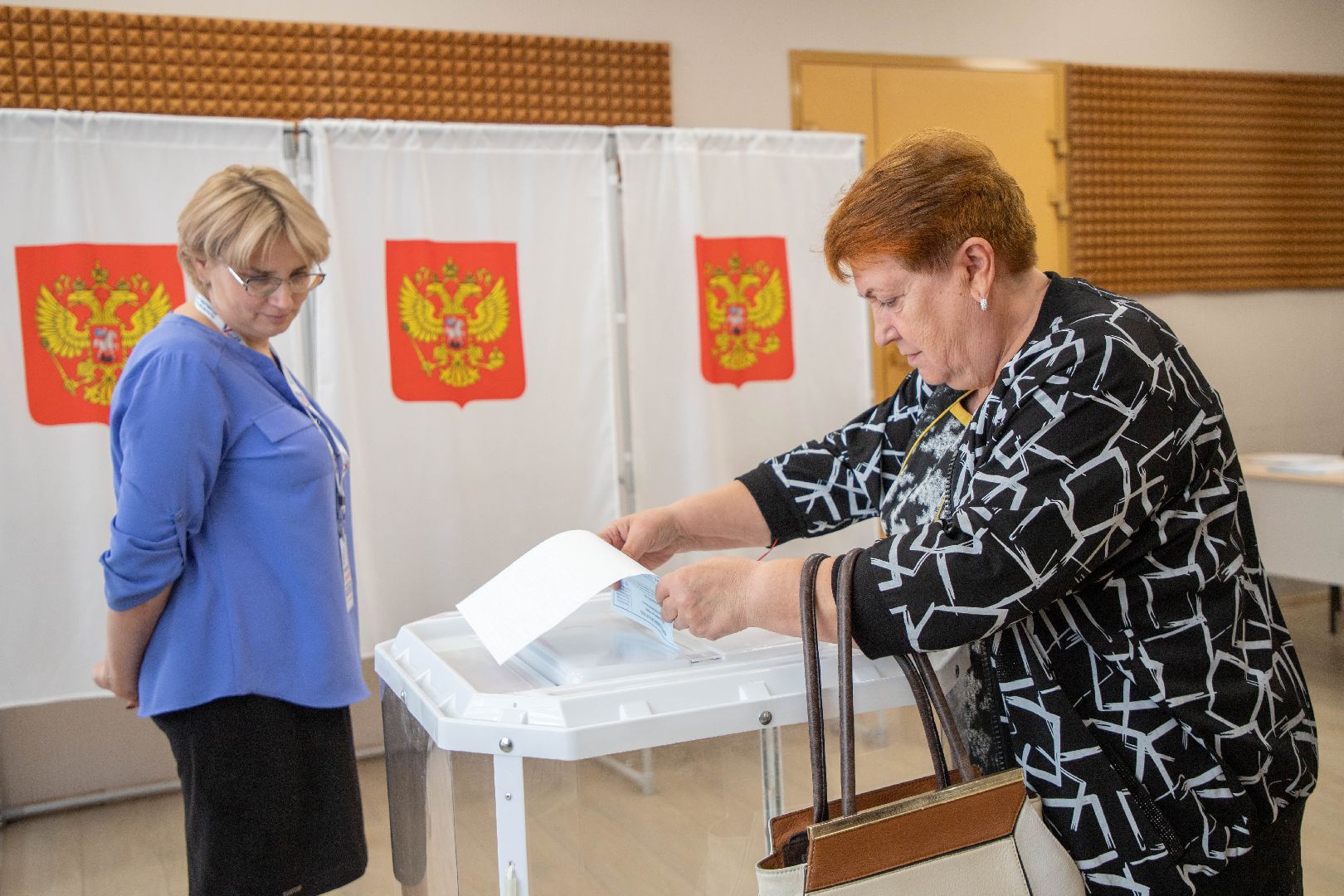 Выборы 2023, Домодедово