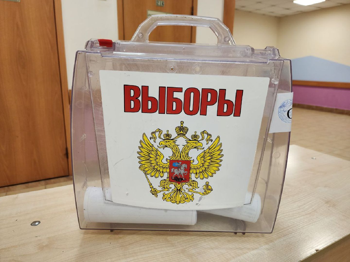 Химки, баскетбол, Подмосковье, выборы, Сходня