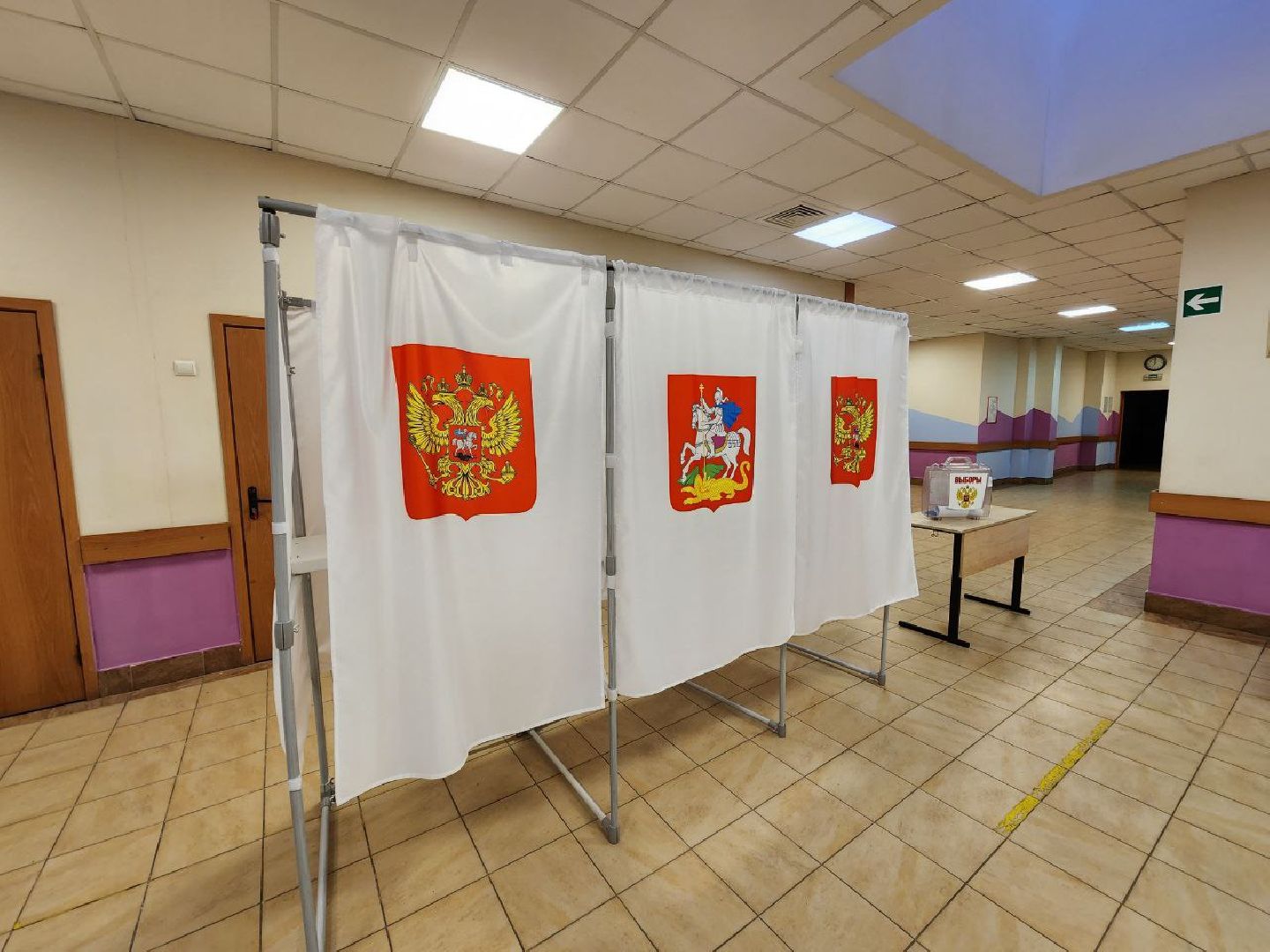 Химки, баскетбол, Подмосковье, выборы, Сходня