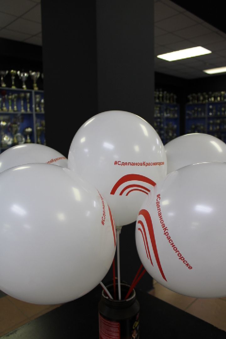 выборы 2023, выборы губернатора,