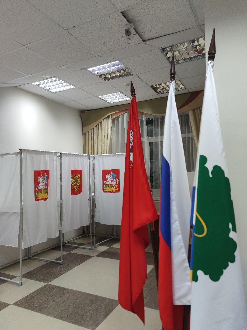 Общественный наблюдатель, выборы 2023, выборы губернатора, Дубна