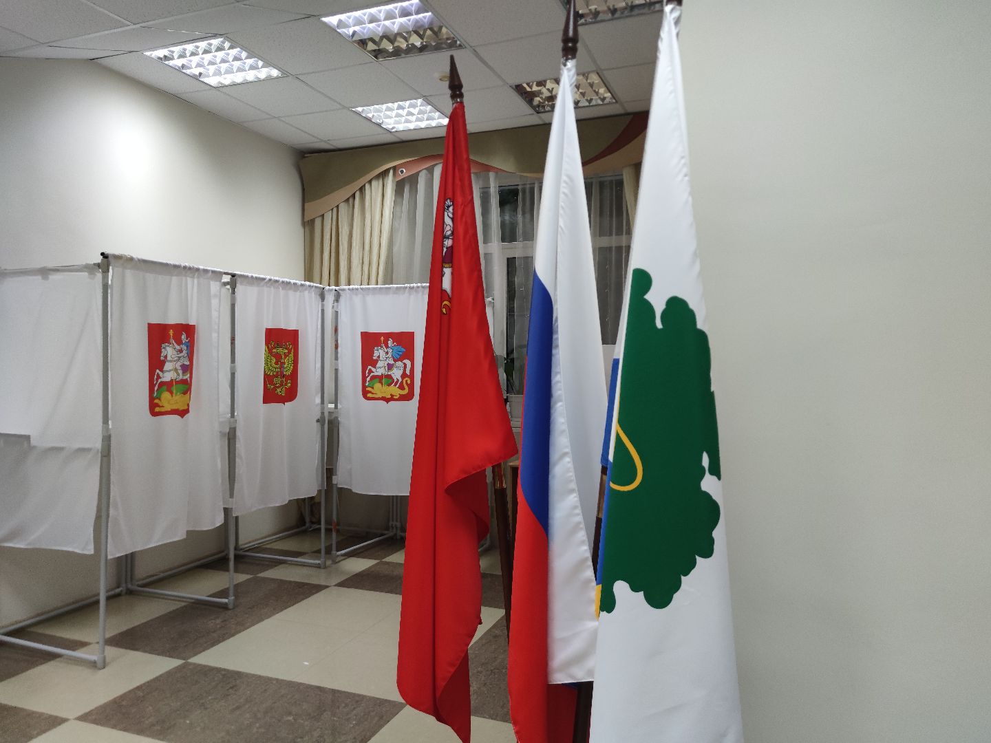 Общественный наблюдатель, выборы 2023, выборы губернатора, Дубна