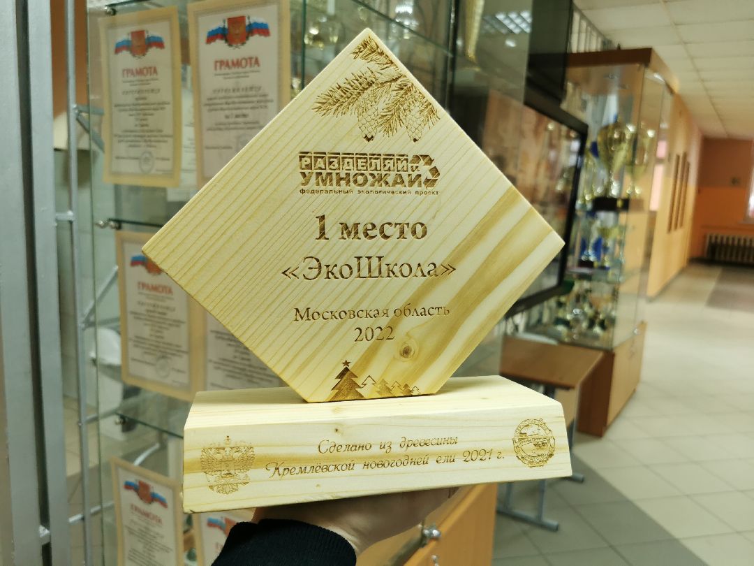 Подольск, школа, экология