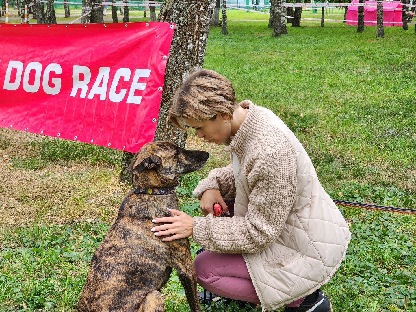 День города, полоса препятствий, собаководы, Старая Купавна, Богородский городской округ