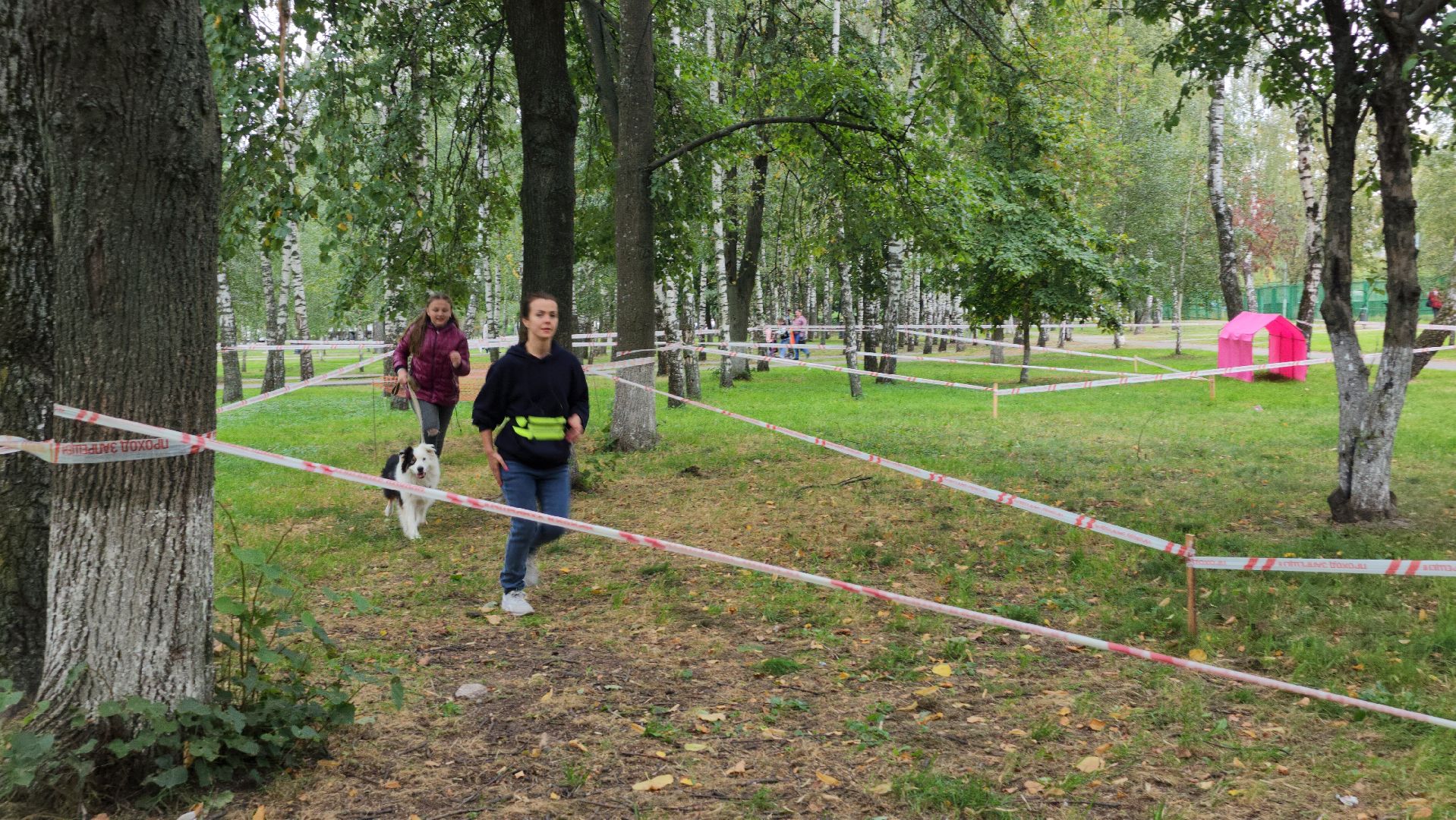 День города, полоса препятствий, собаководы, Старая Купавна, Богородский городской округ