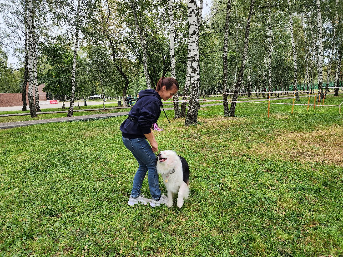 День города, полоса препятствий, собаководы, Старая Купавна, Богородский городской округ