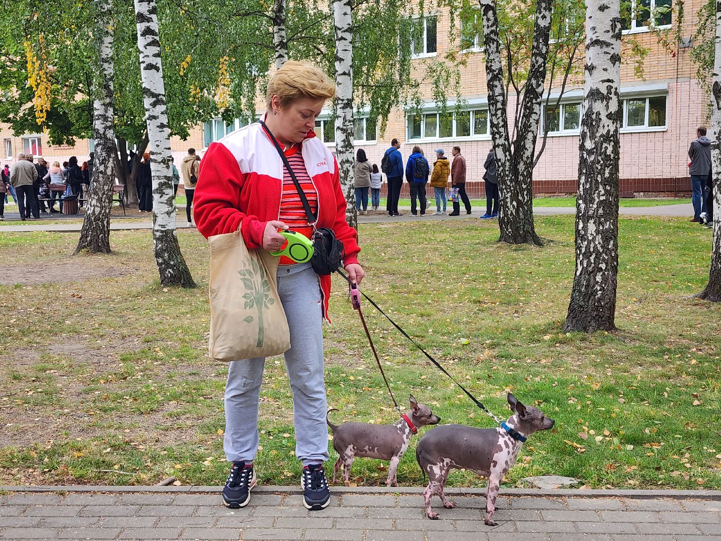 День города, полоса препятствий, собаководы, Старая Купавна, Богородский городской округ