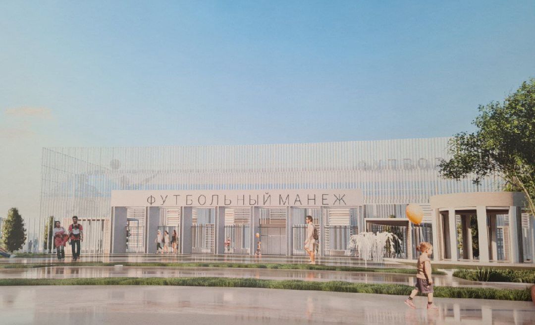 Домодедово, спорт