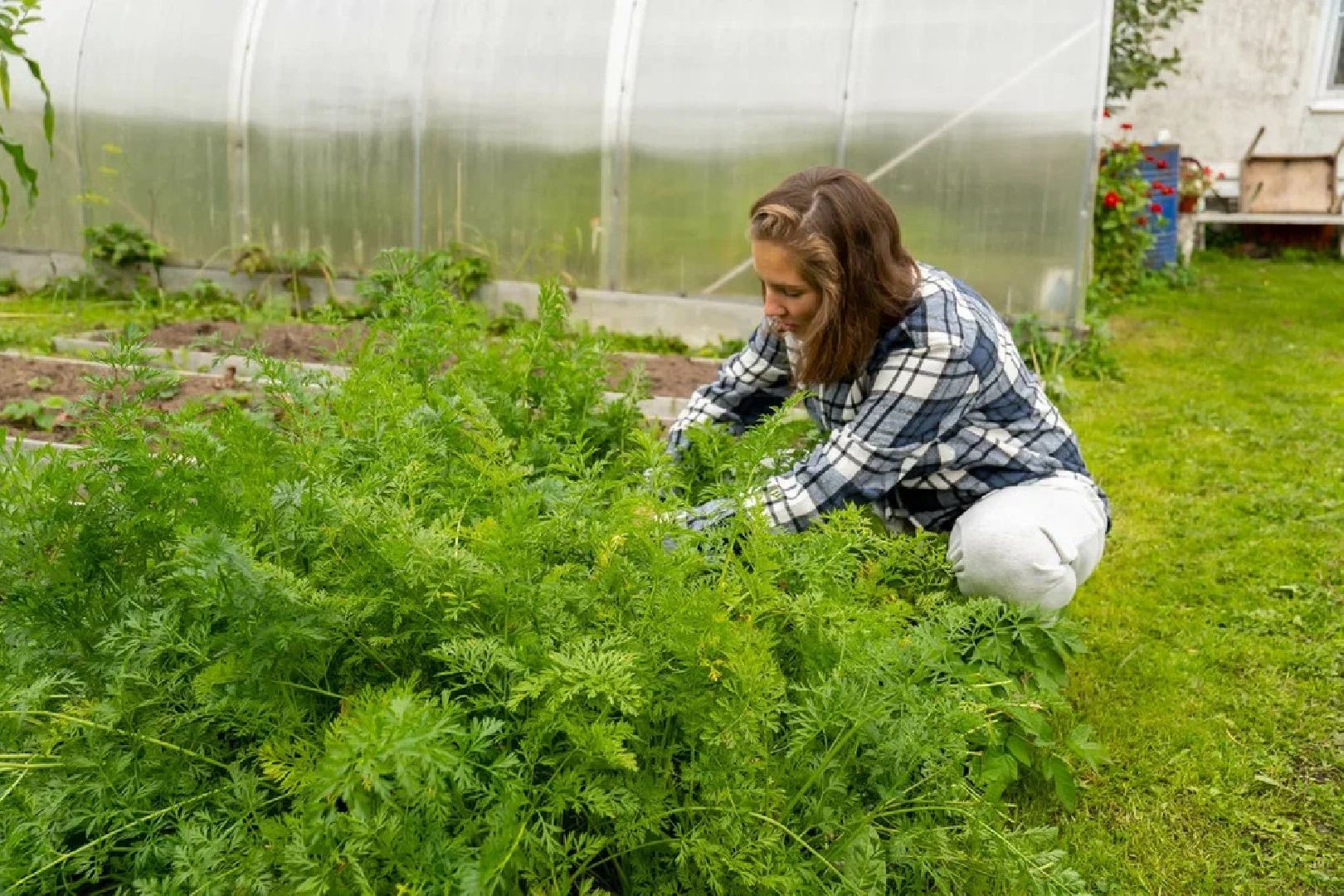 ПодмосковьеВыбирает2023, ЕДГ2023, выборы, Орехово-Зуево