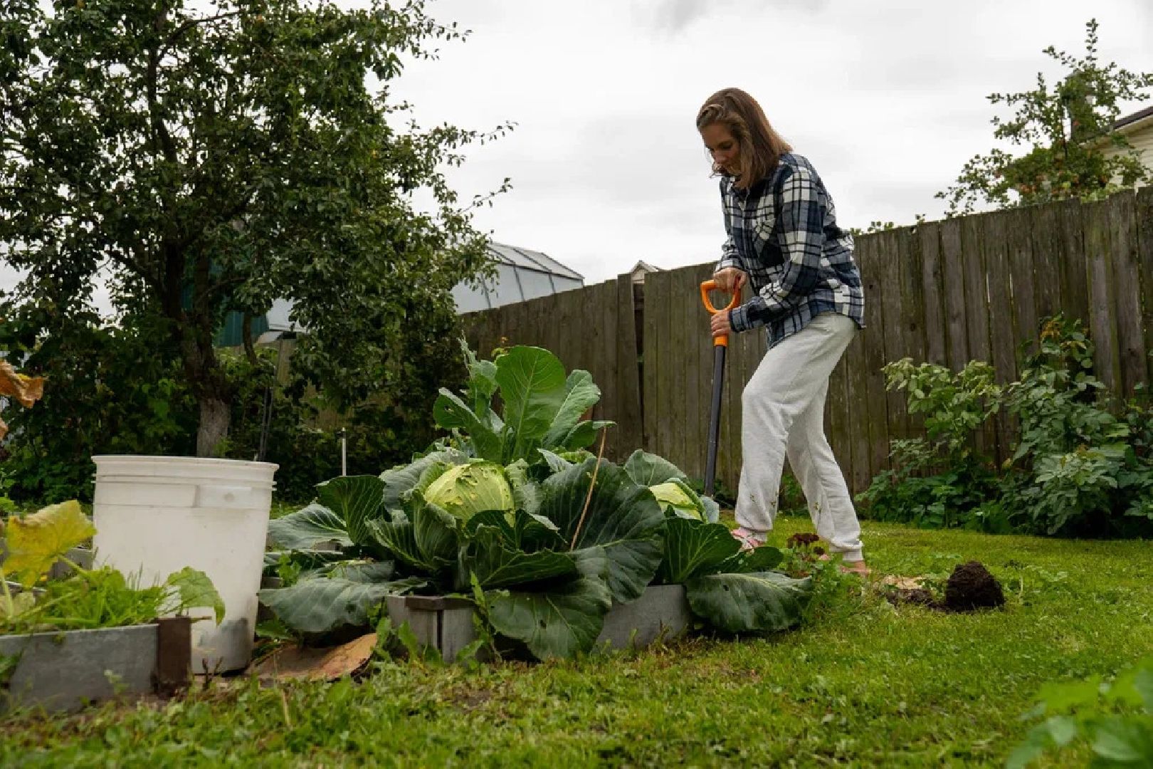 ПодмосковьеВыбирает2023, ЕДГ2023, выборы, Орехово-Зуево